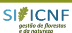 logo_icnf_si